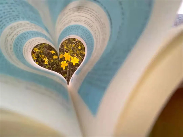 学生摄影作品展示--美好的生活