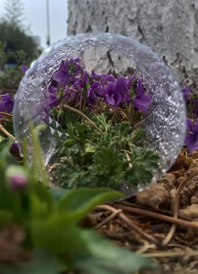学生摄影作品—校园中的美景